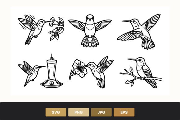 Hummingbird Line Art Set: Graphics and Illustrations for Creative Publishing